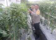 Bhabinkamtibmas dan Dinas Pertanian Bersatu Demi Petani Unggul